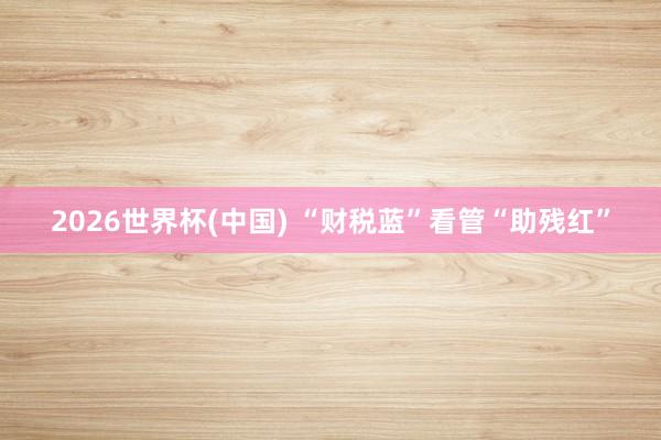 2026世界杯(中國) “財稅藍”看管“助殘紅”