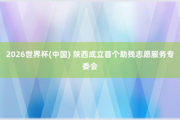 2026世界杯(中國) 陜西成立首個助殘志愿服務(wù)專委會
