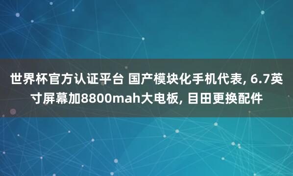世界杯官方認證平臺 國產模塊化手機代表, 6.7英寸屏幕加8800mah大電板, 目田更換配件