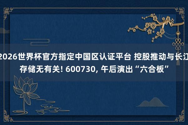 2026世界杯官方指定中國區認證平臺 控股推動與長江存儲無有關! 600730, 午后演出“六合板”