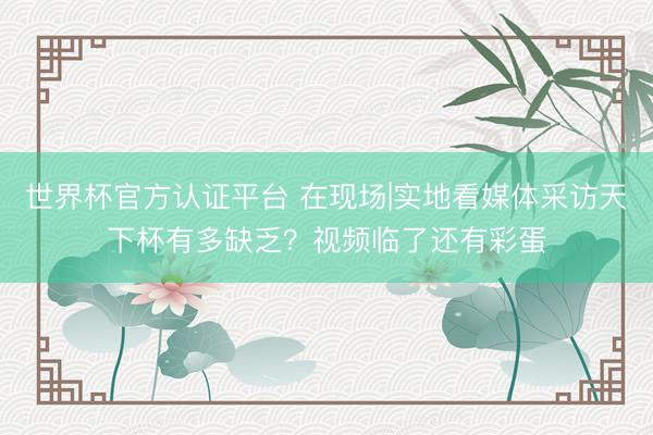 世界杯官方認證平臺 在現場|實地看媒體采訪天下杯有多缺乏？視頻臨了還有彩蛋